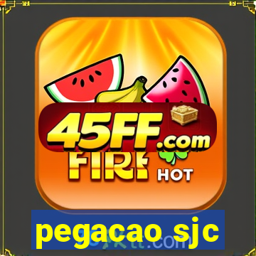 pegacao sjc